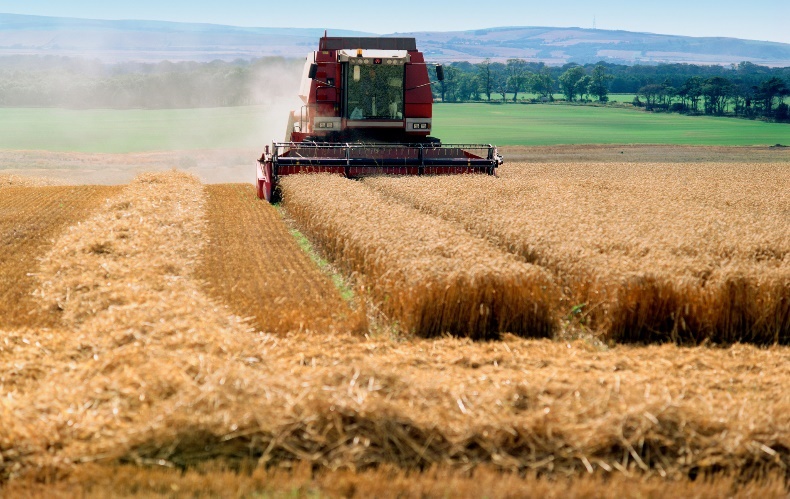 Digital Agriculture