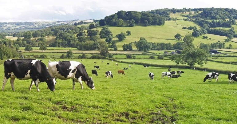 Digital Agriculture