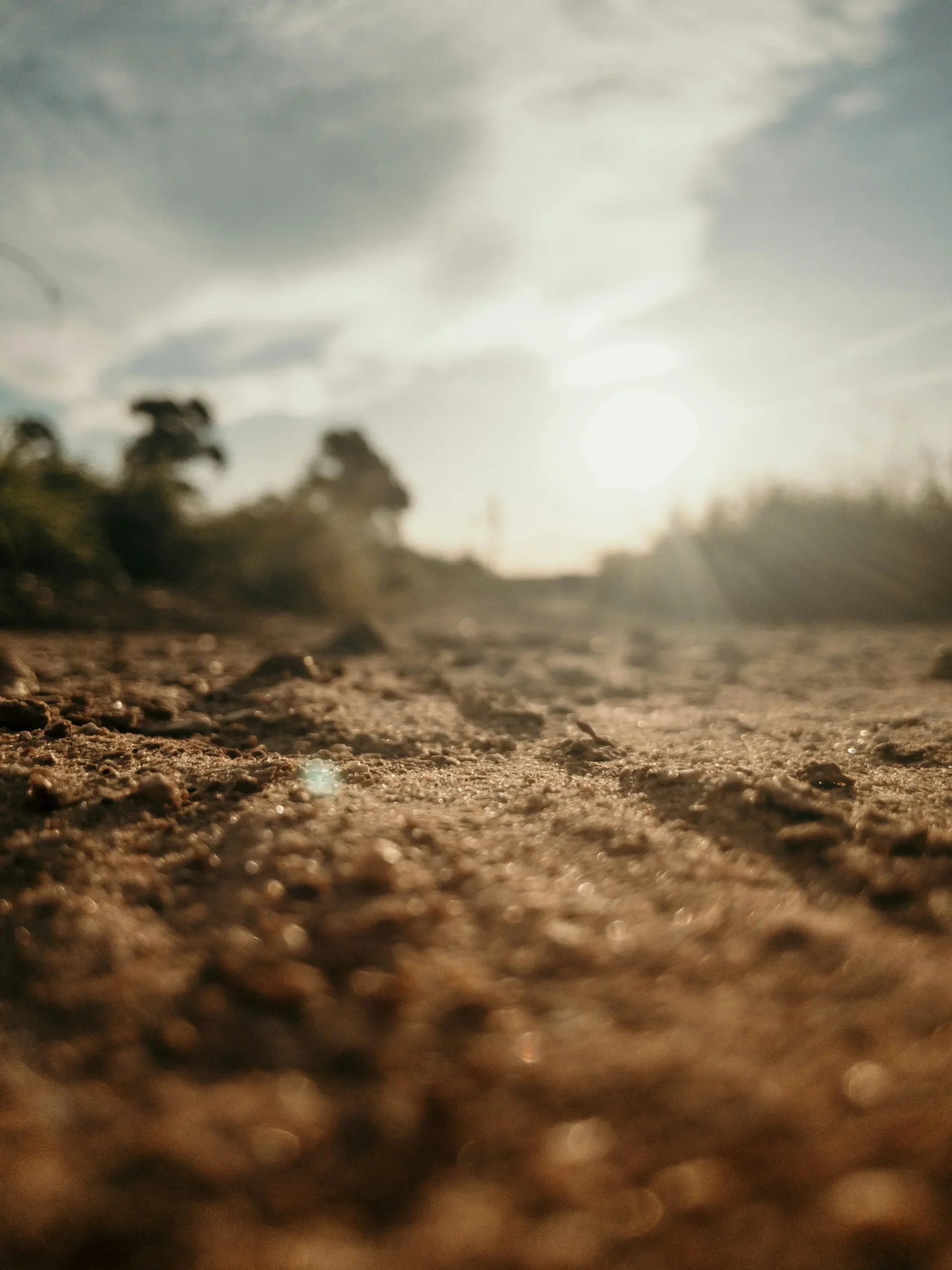 Dry soil in a landscape.